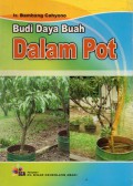 Budi Daya Buah Dalam Pot