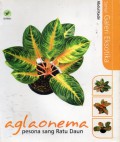 Aglaonema : Pesona Sang Ratu Daun, Ed.1