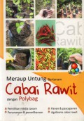 Meraup Untung Bertanam Cabai Rawit Dengan Polybag