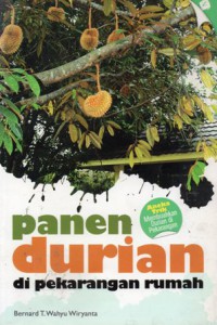 Panen Durian Di Pekarangan Rumah : Aneka Trik Membuahkan Durian Di Pekarangan