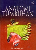 Anatomi Tumbuhan